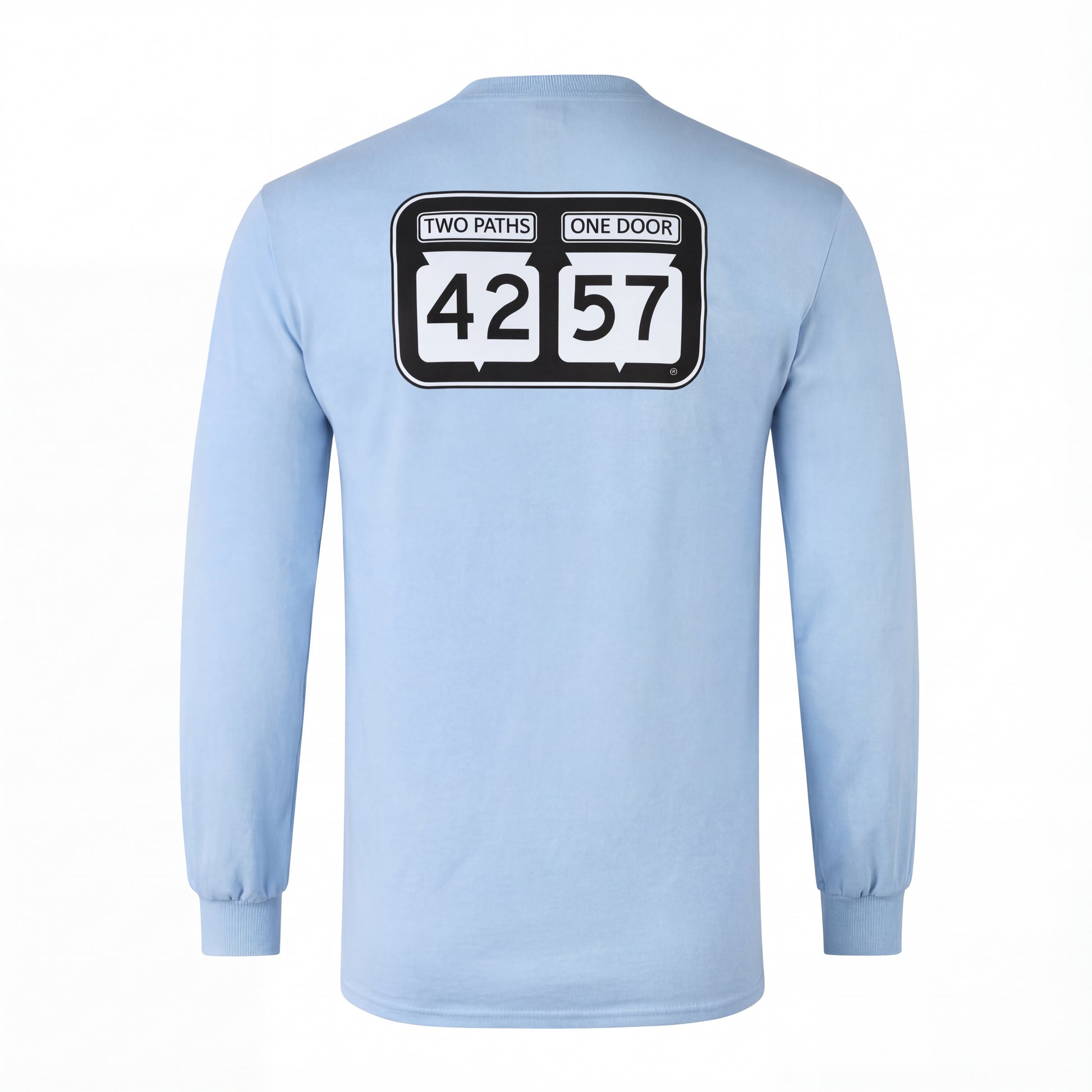 Back view of 42-57 Unisex Classic Long Sleeve Tee in light blue