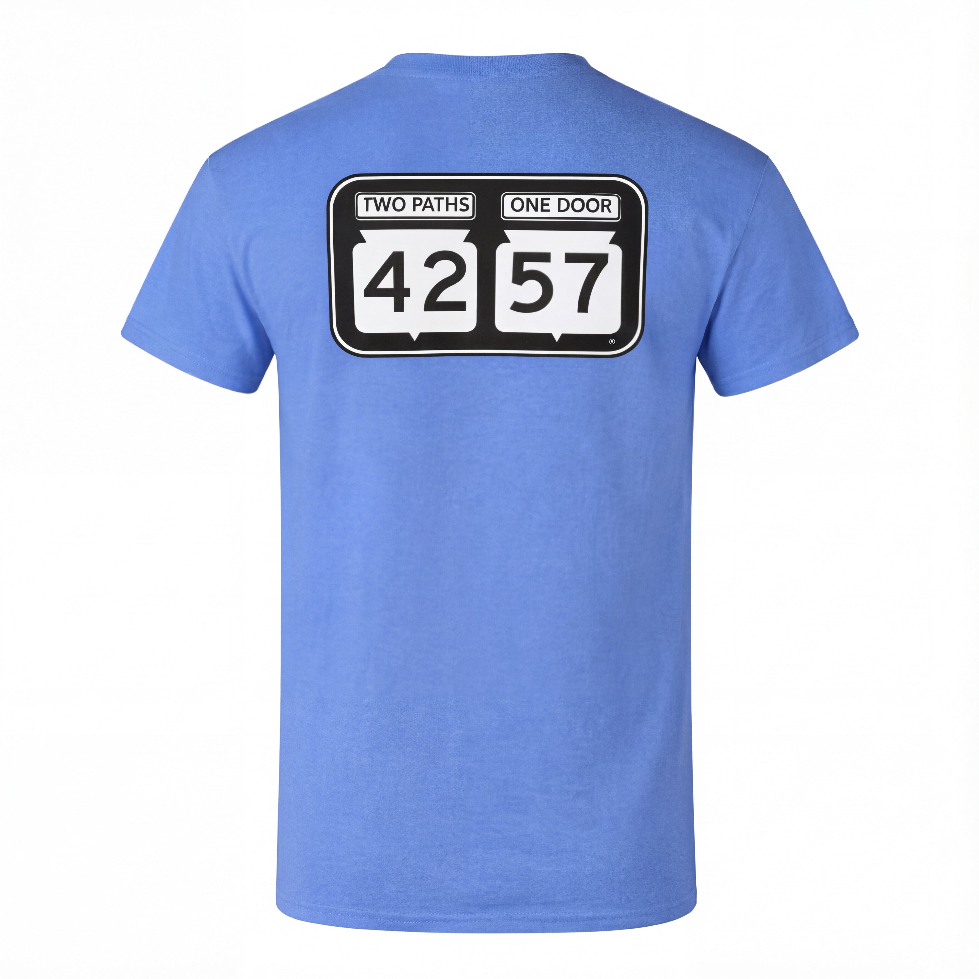 Back view of 42-57 Unisex Classic Tee in blue